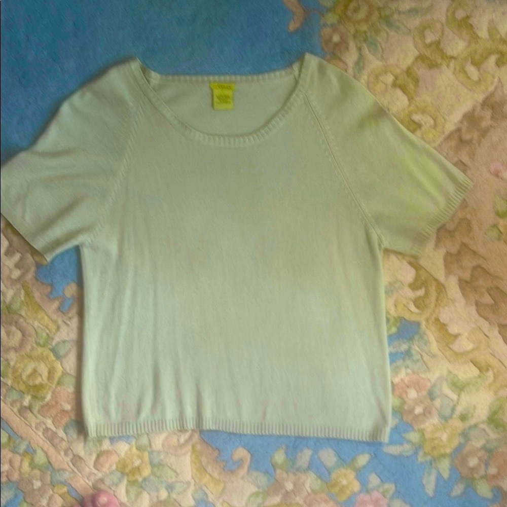 Kieran silk and cashmere scoop neck and short sleeve top.